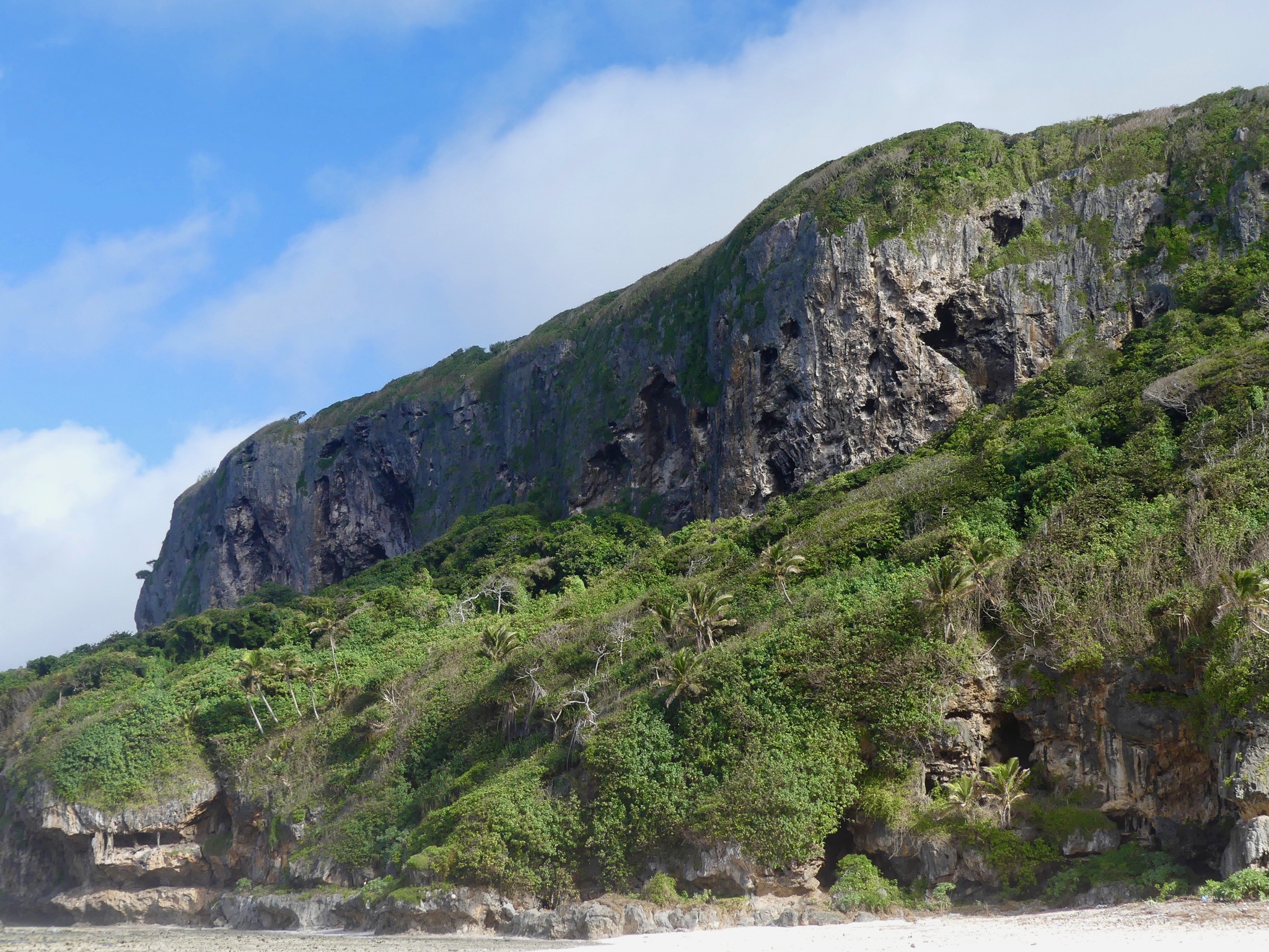 View of the Whale wall from Fangatave Beach, Eua island, Tonga.