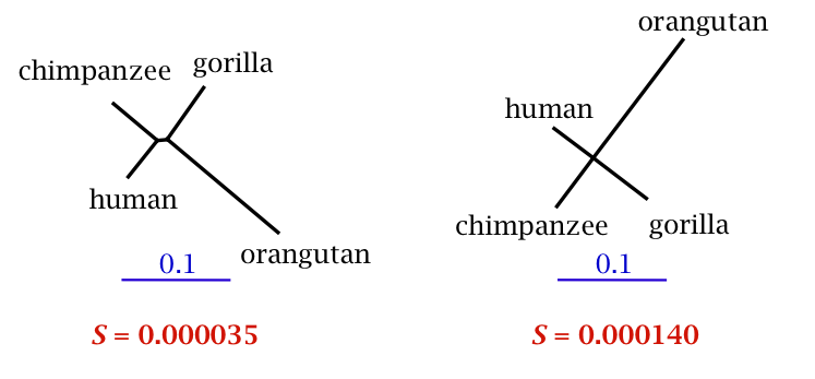 Least squares trees comparison