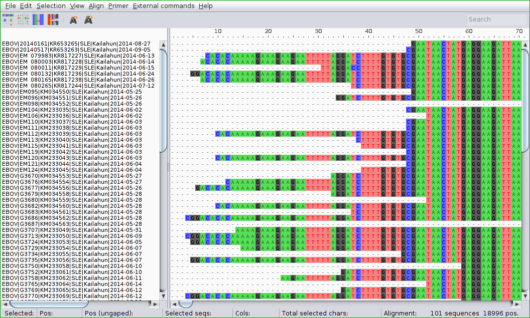 Ebola virus alignment example