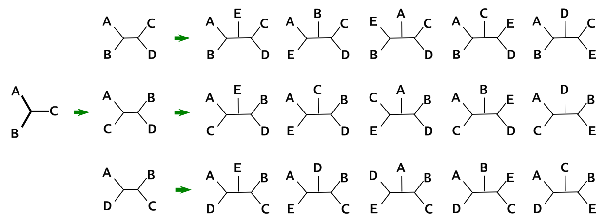 Stepwise addition algorithm