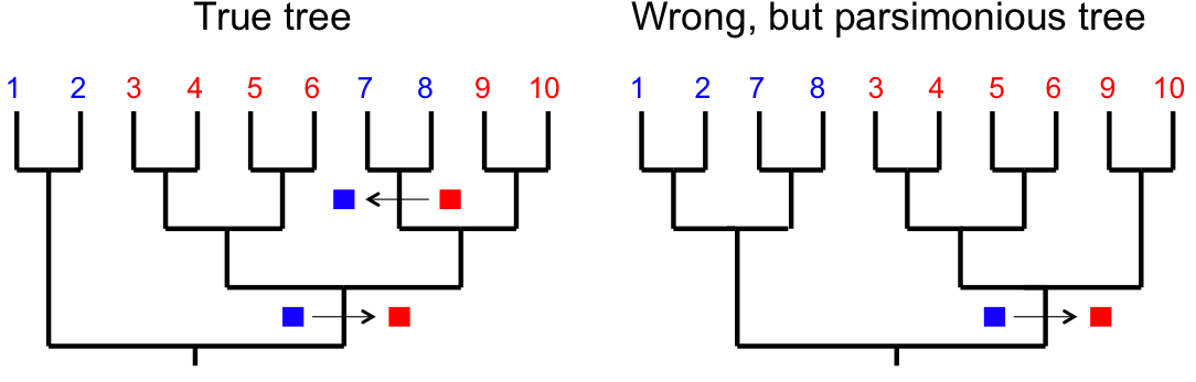 Character reversals in evolution