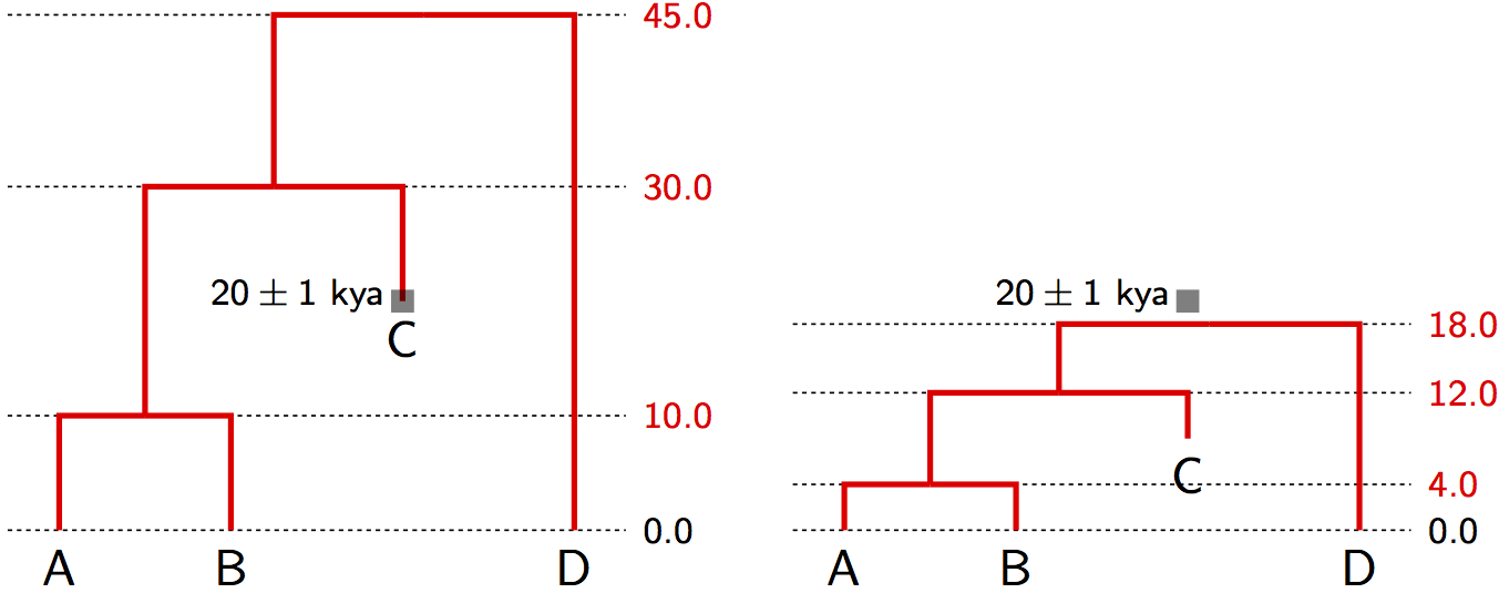 Tip calibration