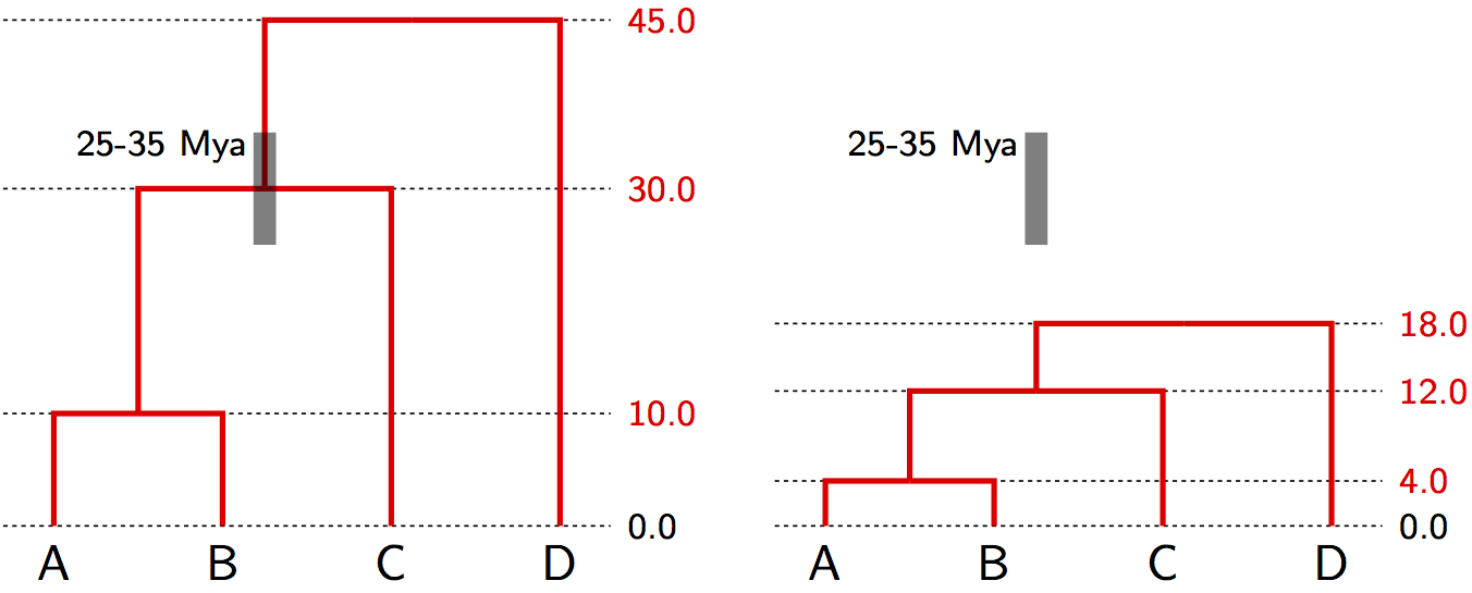 Node calibration